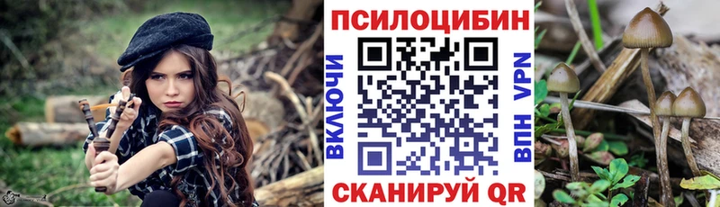 Купить закладки  Краснокамск  Галлюциногенные грибы Psilocybine cubensis 
